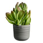 dune rund 22cm warm anthracite